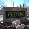 Verdict Ridge Homes For Sale