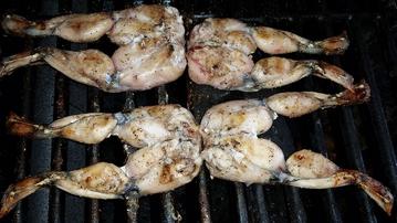 Grilled frog legs BBQ photo