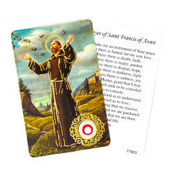 Prayer Card with Relic - Saint Francis.