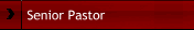 Senior Pastor
