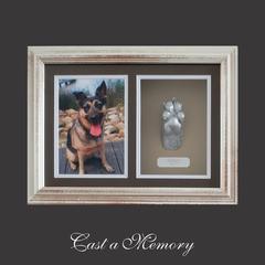 pet and animal paw casting plaster by cast a memory australia