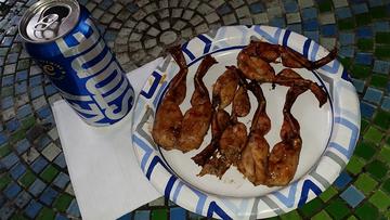 Grilled BBQ Frog Legs Photo
