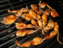Where to buy or eat the best frog legs in Florida FL.