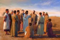 The Original 12 Apostles