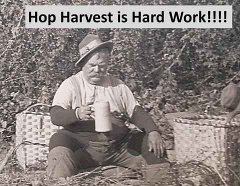 Hop Harvesting Supplies