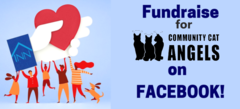 Facebook Fundraiser