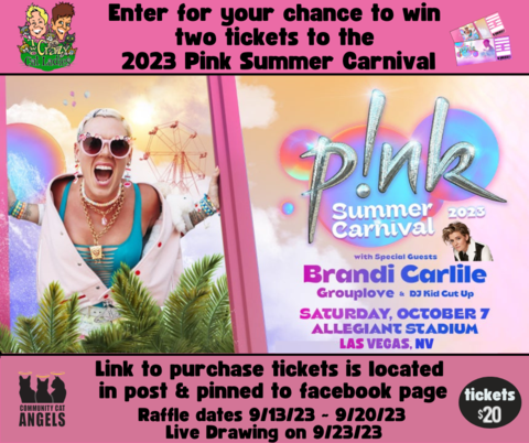 PINK SUMMER CARNIVAL 2023 TICKETS (2 tickets)