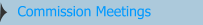Commission Meetings Minutes