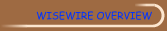 WiseWire Overview